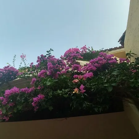 Villetta Via Nenni Villa